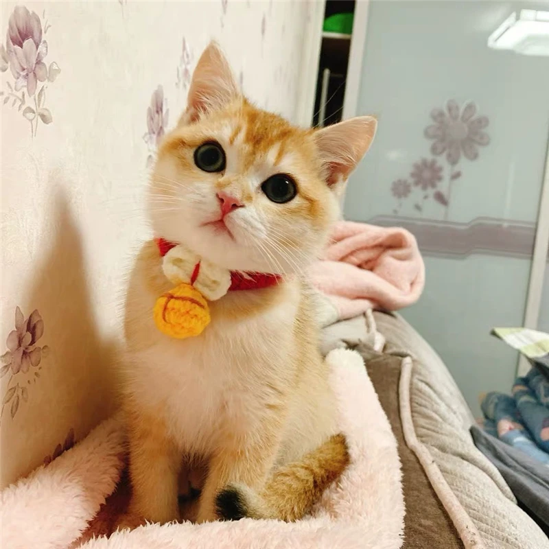 Модный вязаный ошейники для домашних животных Регулируемый собака Кот воротники