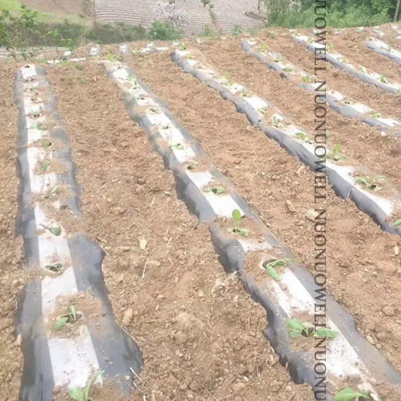 Пленка для защиты от вредителей 400 м²/рулон|Укрытие растений| |