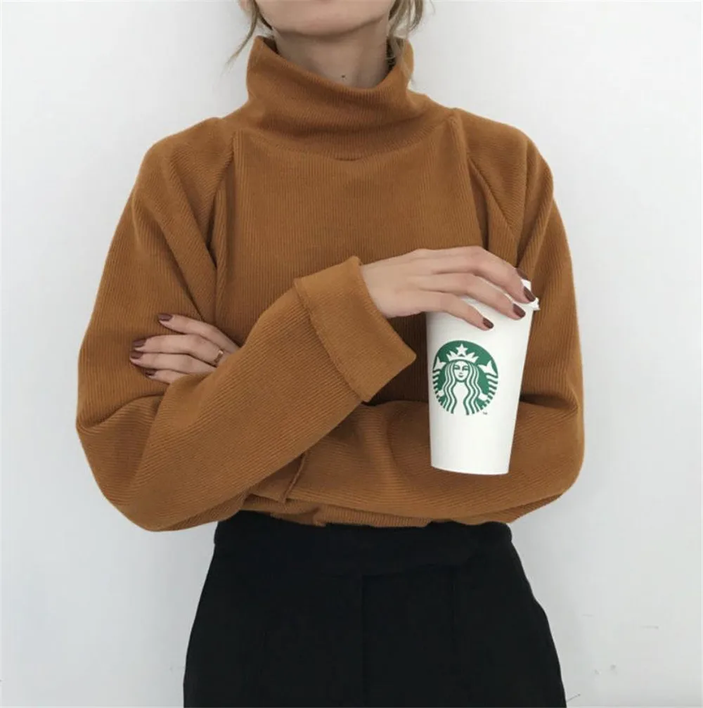 Women Sweater White Black Casual Turtleneck Spring Autumn Knit Pullover Plus Size jumper sweter mujer 30 | Женская одежда