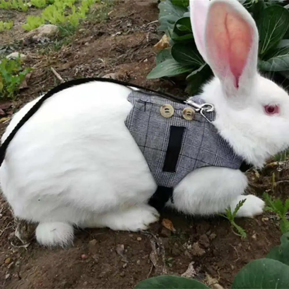 Жилет с кроличьими упряжками комплект тяговой веревки Регулируемый мягкий