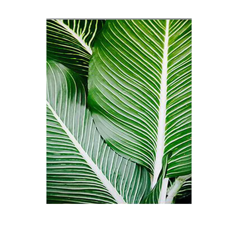 

Black and White Abstract Wall Art Vintage Room Decor Room Decor Aesthetic Pictures for Home Design Wall Decor Posters No Frame