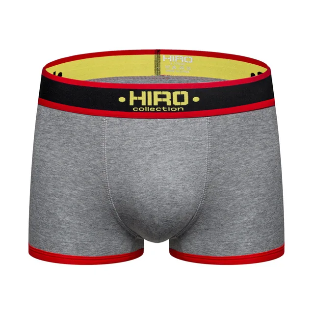 G138-Gary HIRO, сексуальное мужское нижнее белье, сетчатые трусы-боксеры, Cueca, Мужские дышащие мягкие хлопковые трусы, нижнее белье для мужчин, высокое качество - Цвет: G138-Gary