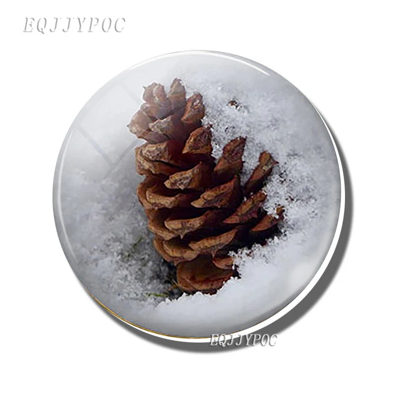 

Стеклянные магниты для холодильника EQJJYPOC 30 мм