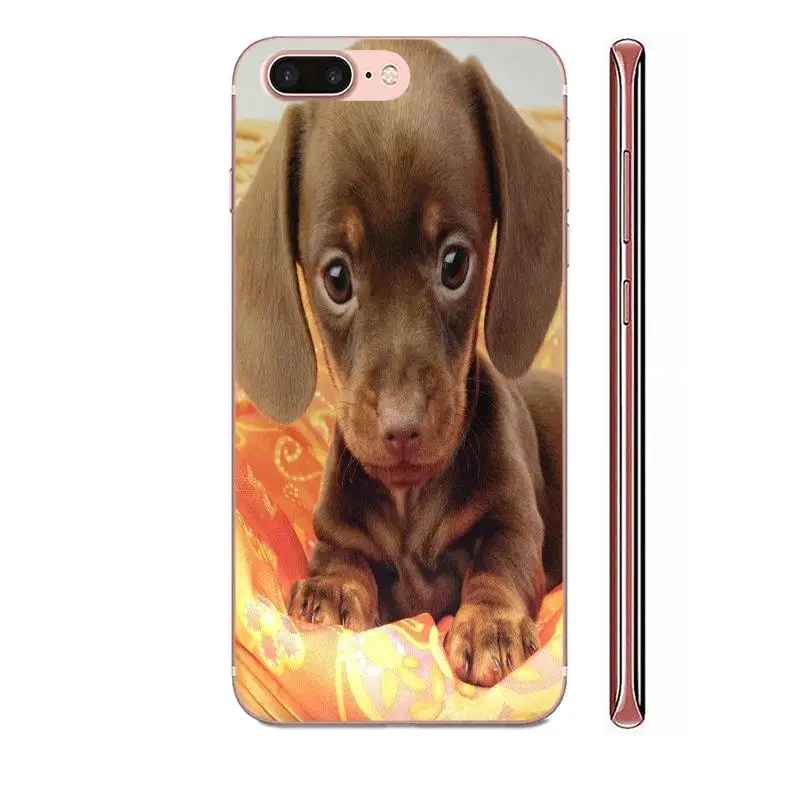 Гибридный чехол для Apple iPhone 11 Pro X XS Max XR 4 4S 5 5C 5S SE SE2 6 6S 7 8 Plus забавный щенок чихуахуа |