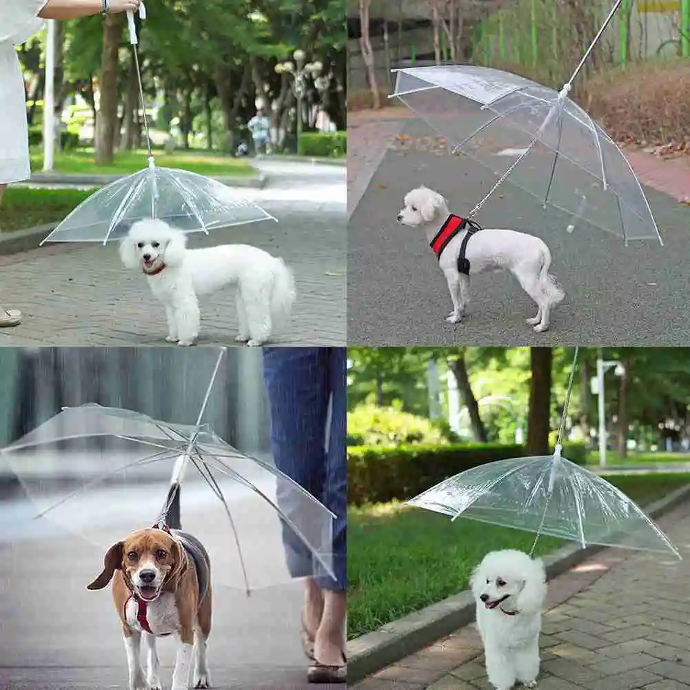

Pet Umbrella Leash Rainproof Small Dog Umbrella Adjustable Dog Umbrella New Arrival 2021