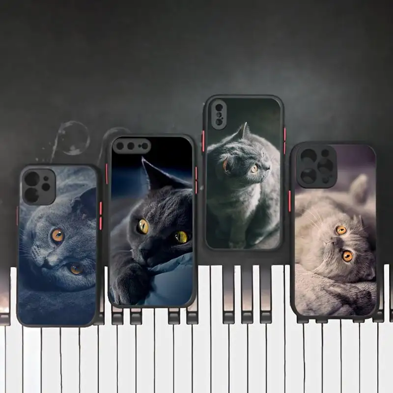 

Chartreux cat cute lovely Phone Case Matte Transparent for iPhone 7 8 11 12 s mini pro X XS XR MAX Plus mobile bags