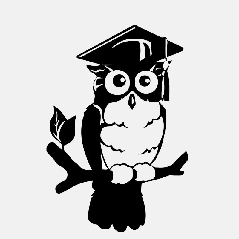 Сова Птицы для Авто/бампер/окно виниловая наклейка наклейки DIY Декор CT152 |