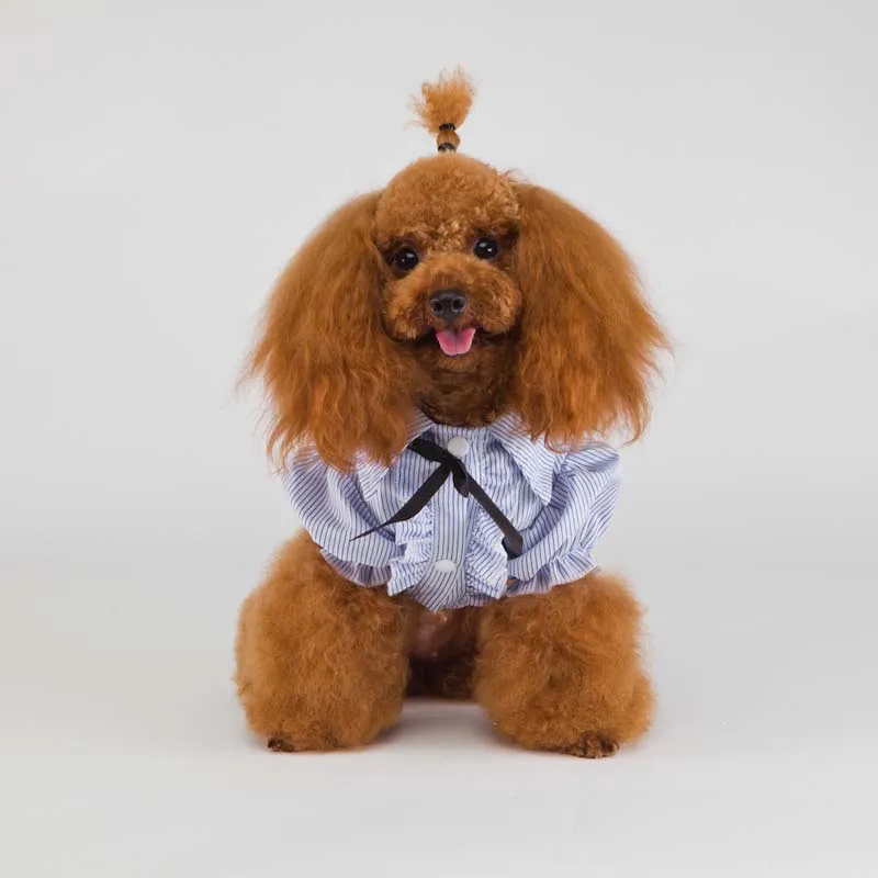 Рубашка для отдыха в полоску собак одежда йорков летняя приталенная рубашка