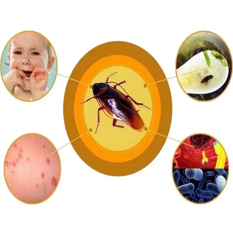 Ловушка для тараканов эффективный отпугиватель насекомых порошок борьбы с