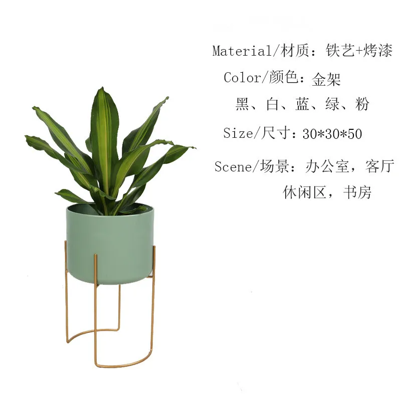 

Nordic ins fashion floor flower stand monstera spring feather bamboo taro homestay design studio studio custom