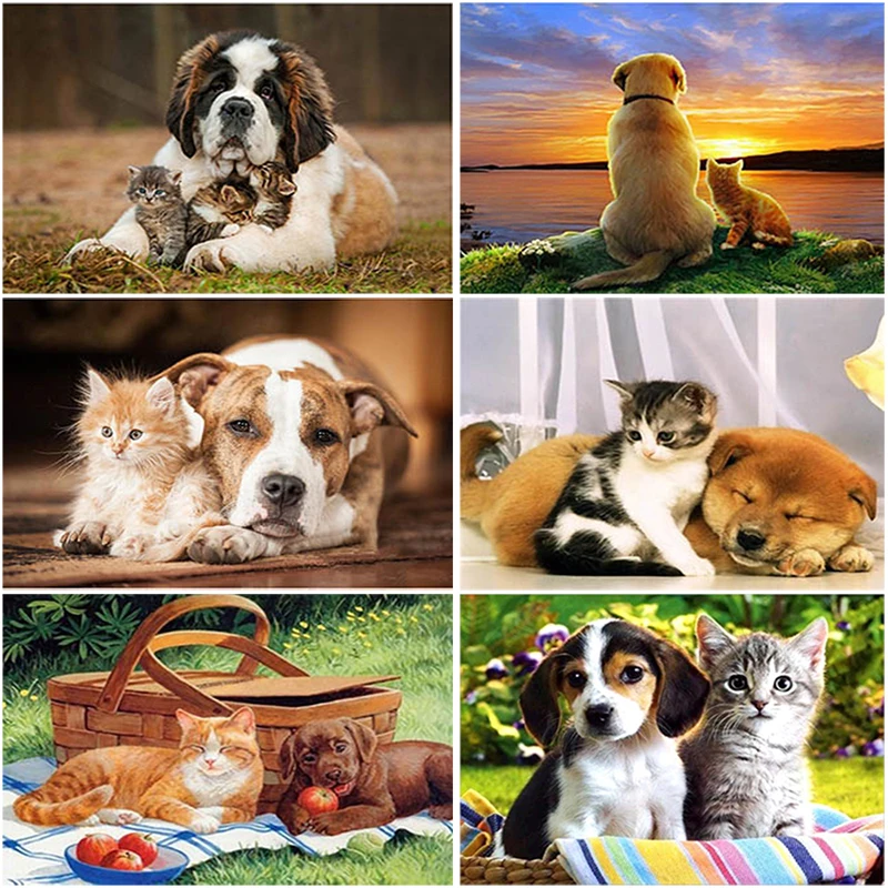 Алмазная 5D картина сделай сам мозаика из страз с изображением фермы кошки полная