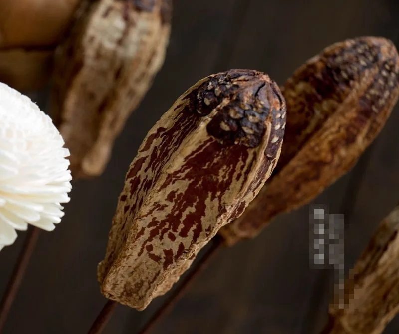 Европейский для наземного домашнего интерьера цветок сушеные цветы украшение