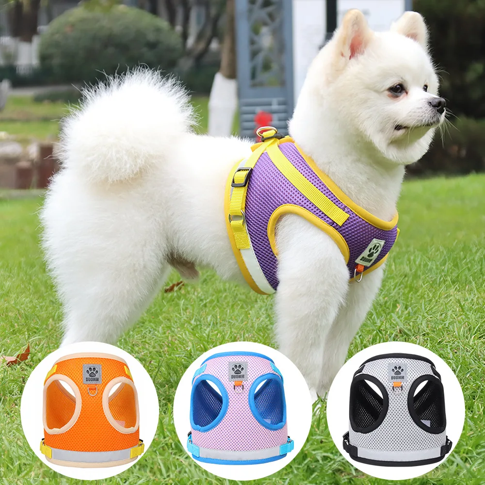 

Adjustable Orange Dog Harness Leash Set Puppy Cat Harness Vest French Bulldog Chihuahua Pug Outdoor Walking Lead For Small Dogs