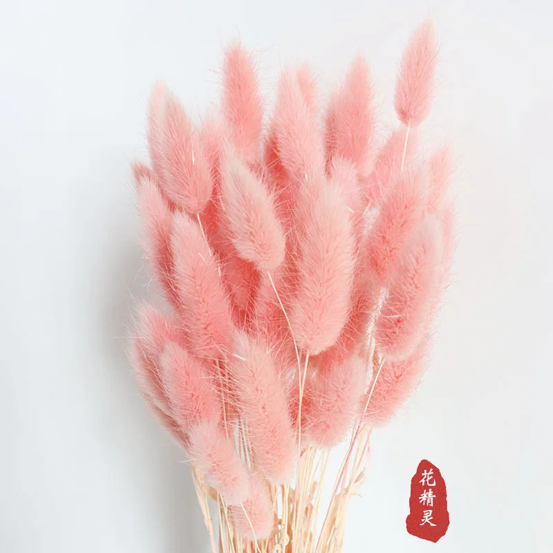 

20pcs/60pcs Home Decoration Rabbit Tail Grass Pure Dried Bouquets Artificial Flowers for Wedding Birthday Table Vase Decoration