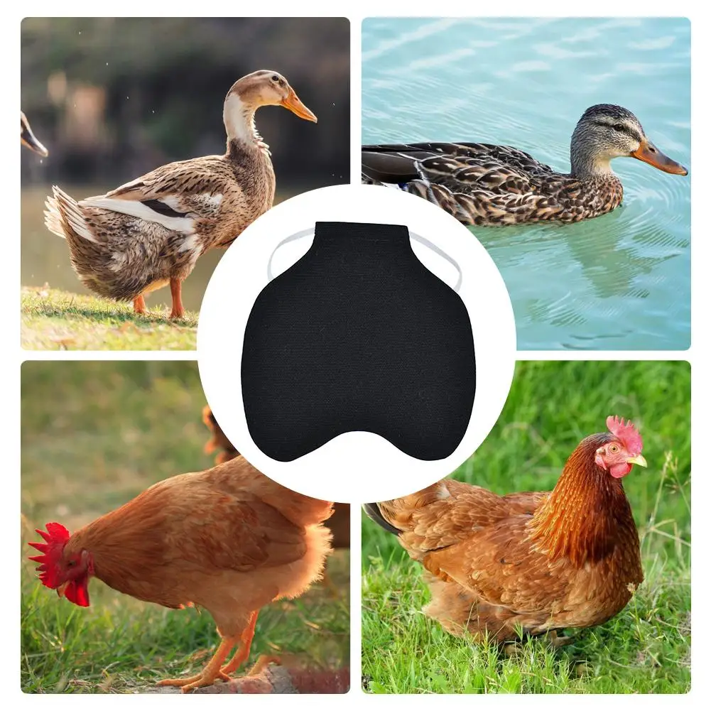 Регулируемый Фартук для домашних животных одежда кур куриных птиц седло перо