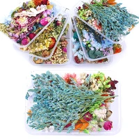 1 box mixed real dried flowers dry plants pressed flowers for epoxy resin pendant necklace jewelry making craft diy accessories