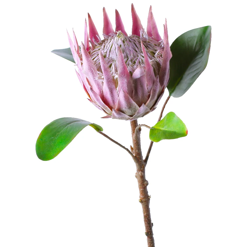 

1 Piece Artificial Flower Home Decorative Fake Flowers Long Branch King Protea Handmade Silk Flowers Holiday Decor