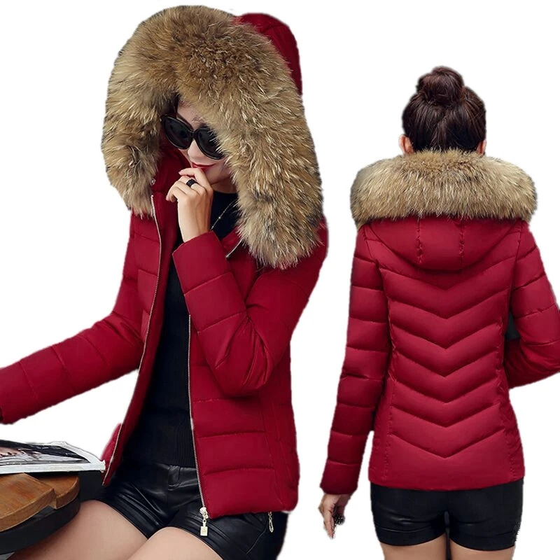 Женская зимняя мода 2019 Корейская женская куртка с меховым воротником пуховик