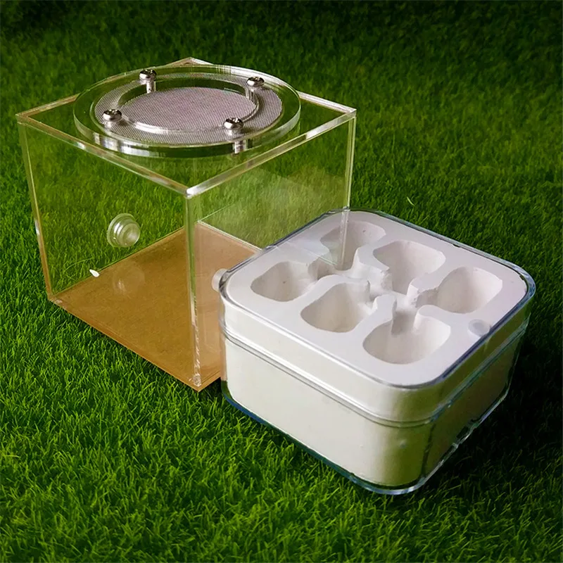 Штукатурка Муравьиное гнездо акриловая муравьиная ферма муравьев королева дом