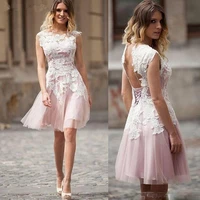 elegant a line pink short evening dress lace appliques sleeveless o neck 2021 formal prom gown high quality custom