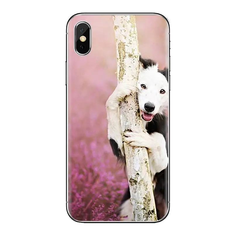 For Xiaomi Mi6 Mi 6 A1 Max Mix 2 5X 6X Redmi Note 5 5A 4X 4A A4 4 3 Plus Pro Border Collie Dog Transparent Soft Shell Covers |