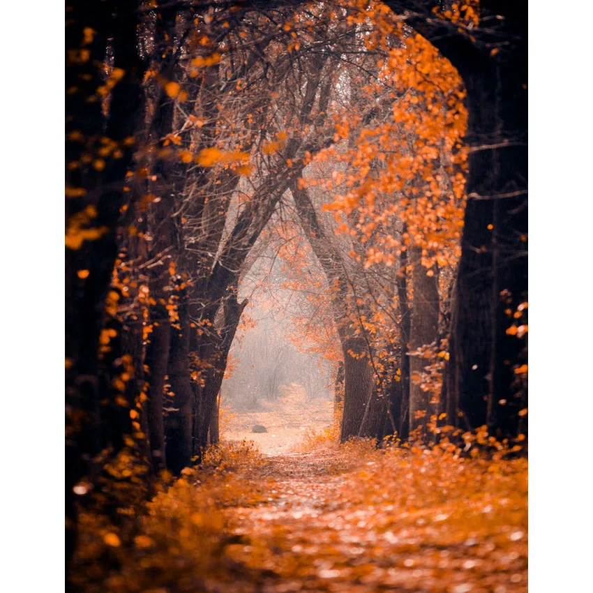 

Mysterious forest photo background kids vinyl fotografia art photography backdrops for photographer studio props funds S-2339