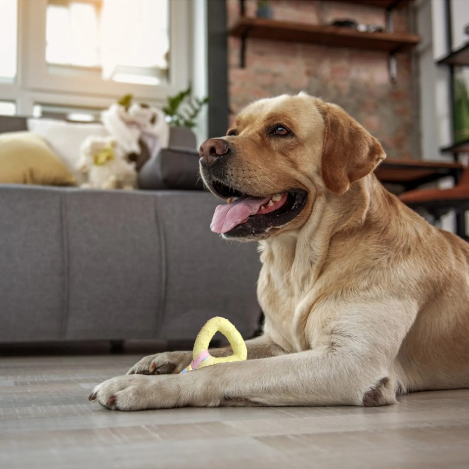 

Dog Chew Rope Toys Pet Chew Toys for Playtime and Teeth Cleaning