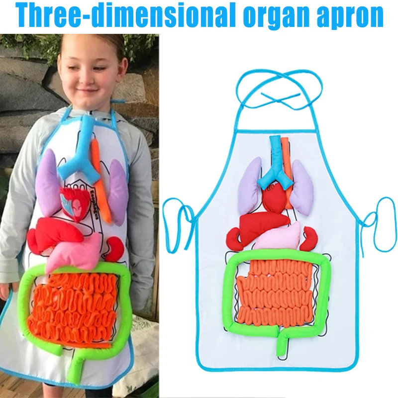 

Montessori Early Education Children Three-Dimensional Simulated Organ Apron Science Physiological Education 3D Apron YE-