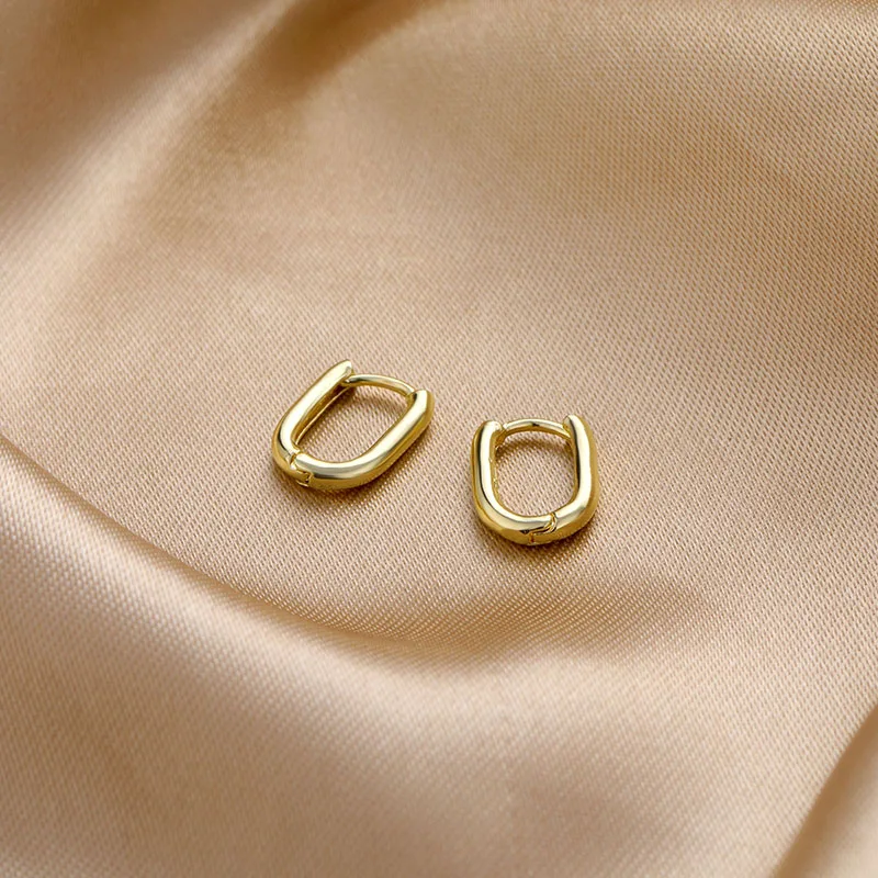 Lindoli 2020 new high-end niche O-ring ladies earrings simple temperament small ear buckle gift party | Украшения и аксессуары