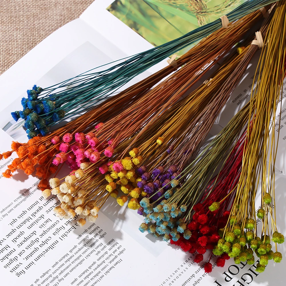 Красочные кавайные букеты с настоящими цветами Натуральные сушеные цветы стебли