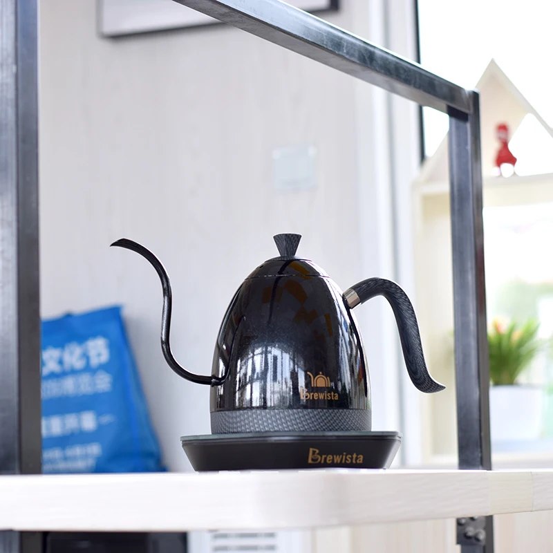 Brewista-cafetera artesanal de doble pared con cuello de cisne, tetera con control de temperatura variable, enchufe europeo, 600ml-2