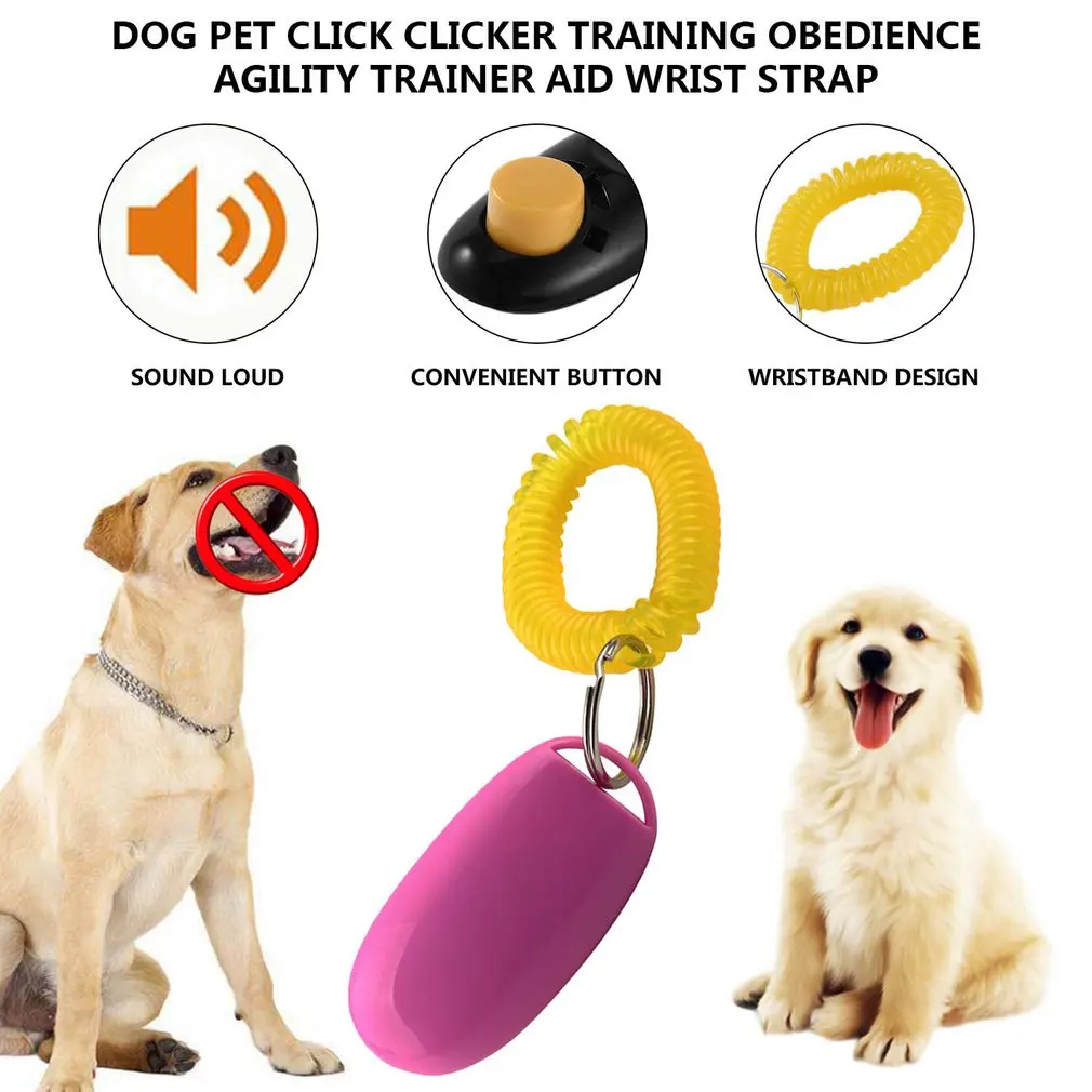 

Hot Newest Dog Pet Training Obedience Agility Trainer Pet Supplies Aid Wrist Strap Great for Training Obedience Agility