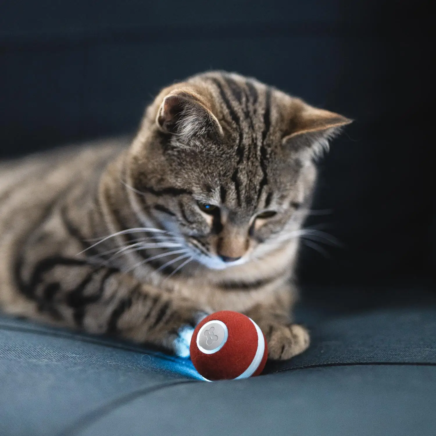

Red Interactive ball for cat Smart Cat Toy Interactive Electronic Self Rotating Roll Ball With Light Pet Cat Play Game Toy