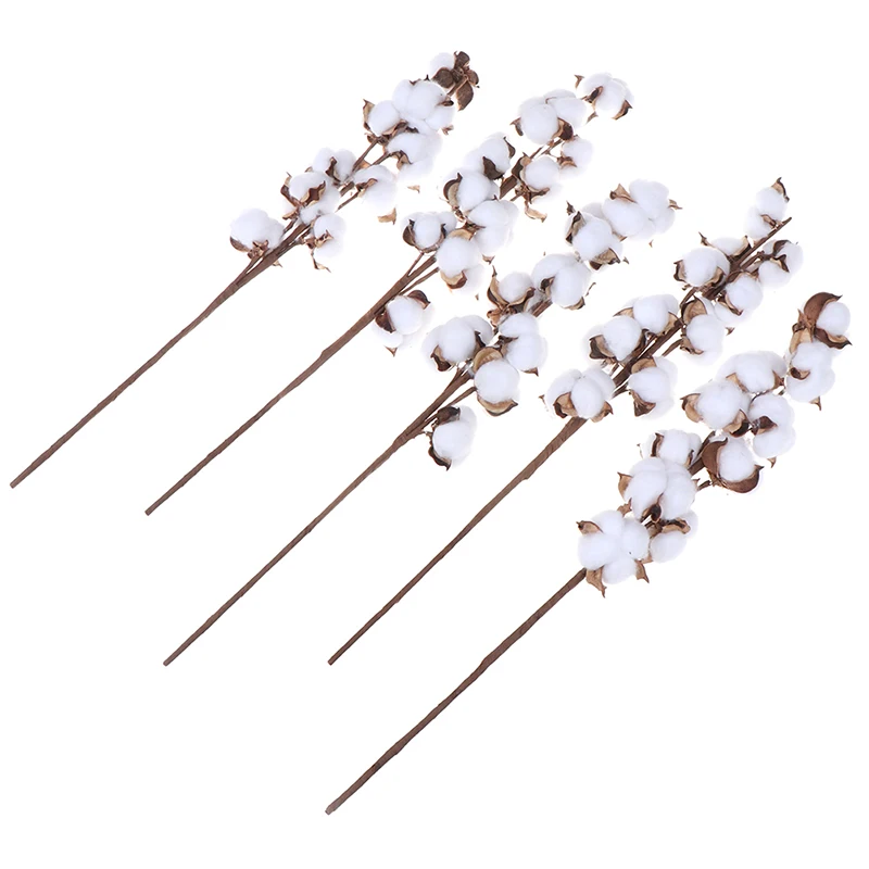 Натуральные сухие хлопковые цветы 1 шт. искусственные растения Цветочная ветка