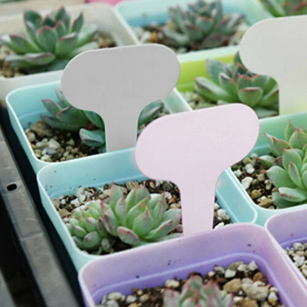 

300pcs/set Plant Labels Garden Gardening Label Plant Labels Stake T-Type