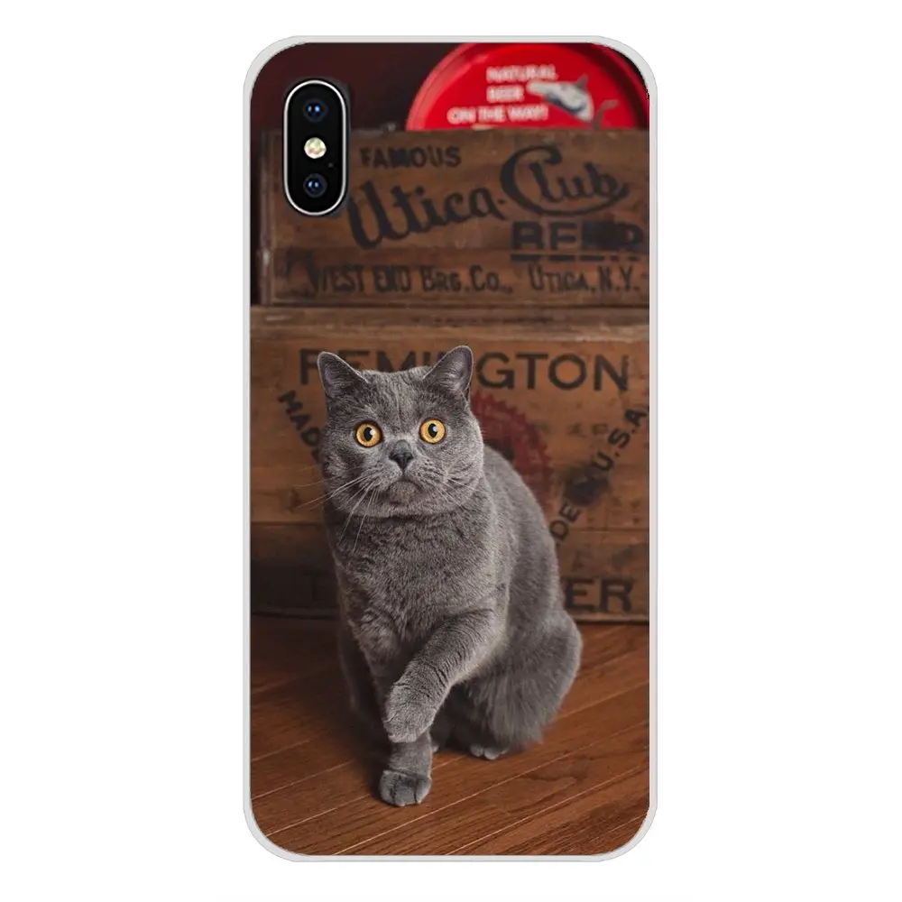 Для Apple IPhone X XR XS 11Pro MAX 4S 5s 5C SE 6S 7 8 Plus ipod touch 5 6 Британский короткошерстный Кот Топ дизайн силиконовые чехлы