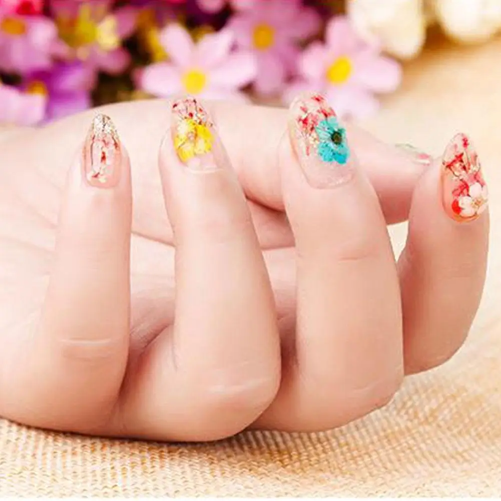 1 Box 3D Mixed Dried Flower Nail Decoration Jewelry Manicure Color Floral Art Decals 12 Accessories Natural For DIY Sticker O6N8
