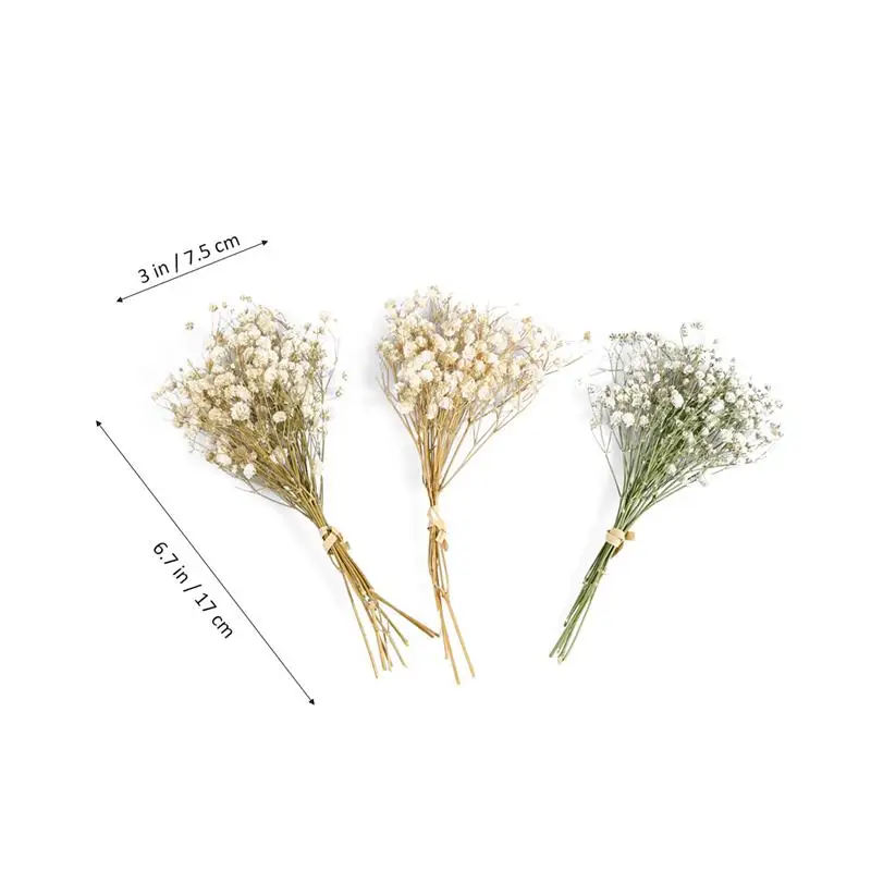 

3 Bunches Permanent Dried Flowers Photo Props Romatic Vase Decor Flower Arragement Supplies Gypsophila Bouquet Home Decor