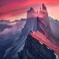 

link