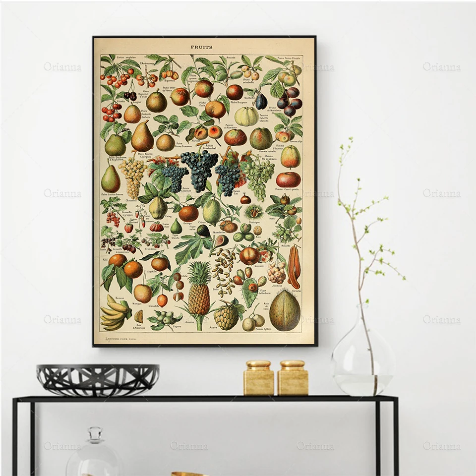 

Adolphe Millot Art Poster, Millot Print, Fruit Print, Vintage Art Print, Kitchen Print, Gift Idea - Wall Art Poster Print - --