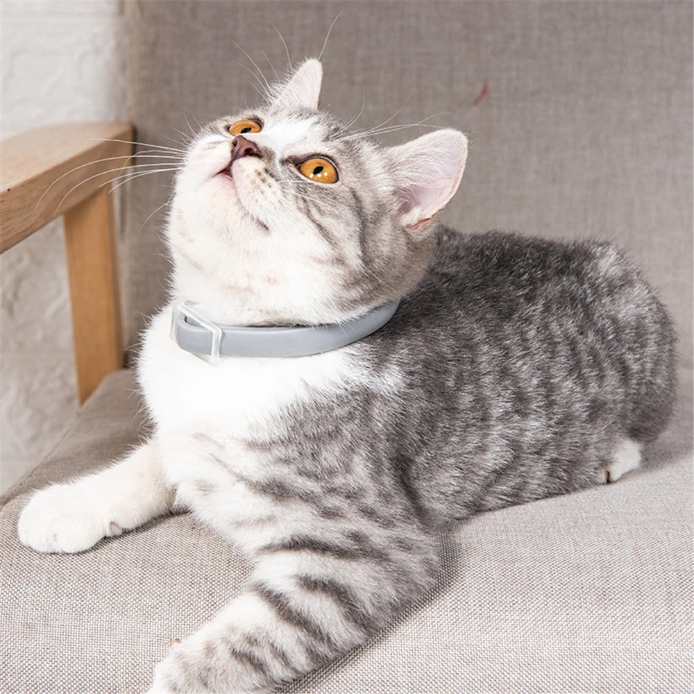 Adjustable Silicone Pet Collar Anti-insect Mites Removal Protection Health Product Cat Dog Neck Strap Fleas Prevention Remedy | Дом и сад