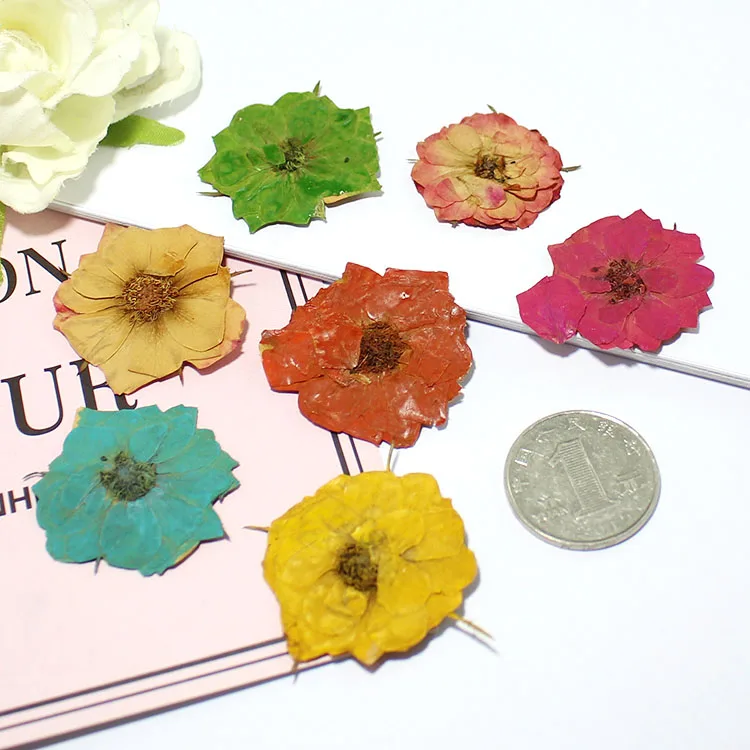 

6 шт. несколько красочных натуральных розовых фиолетовых сушеных прессованных цветов для скрапбукинга DIY красный чехол для телефона