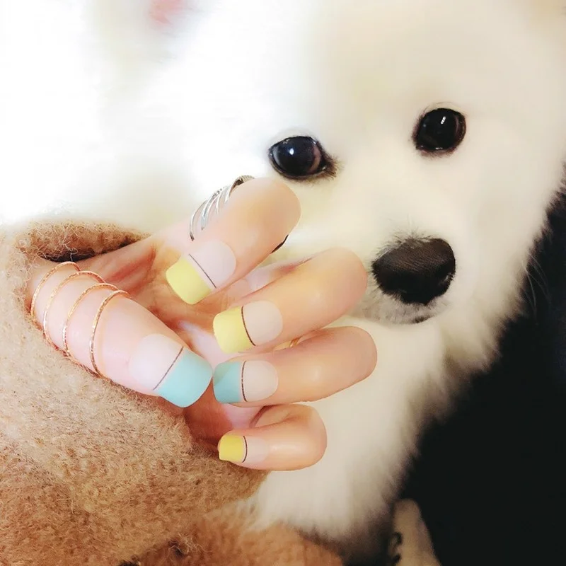 New Small Fresh Fake Nails Finished Hand Frosted Matte Patch DIY Nail Salon Tools 24pcs/box | Красота и здоровье
