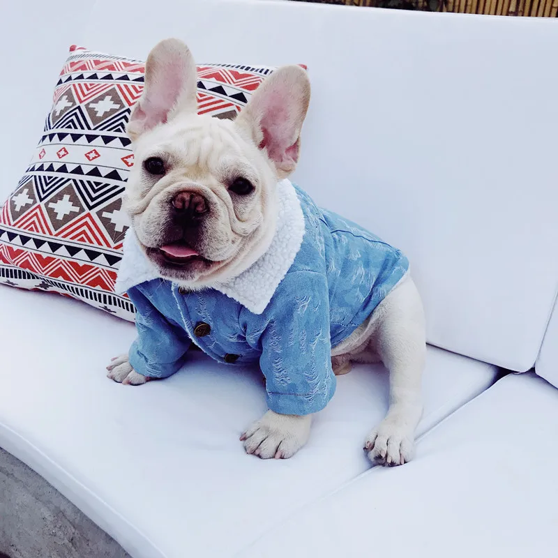 Французская одежда для бульдога зимнее пальто собак джинсовая куртка мопса