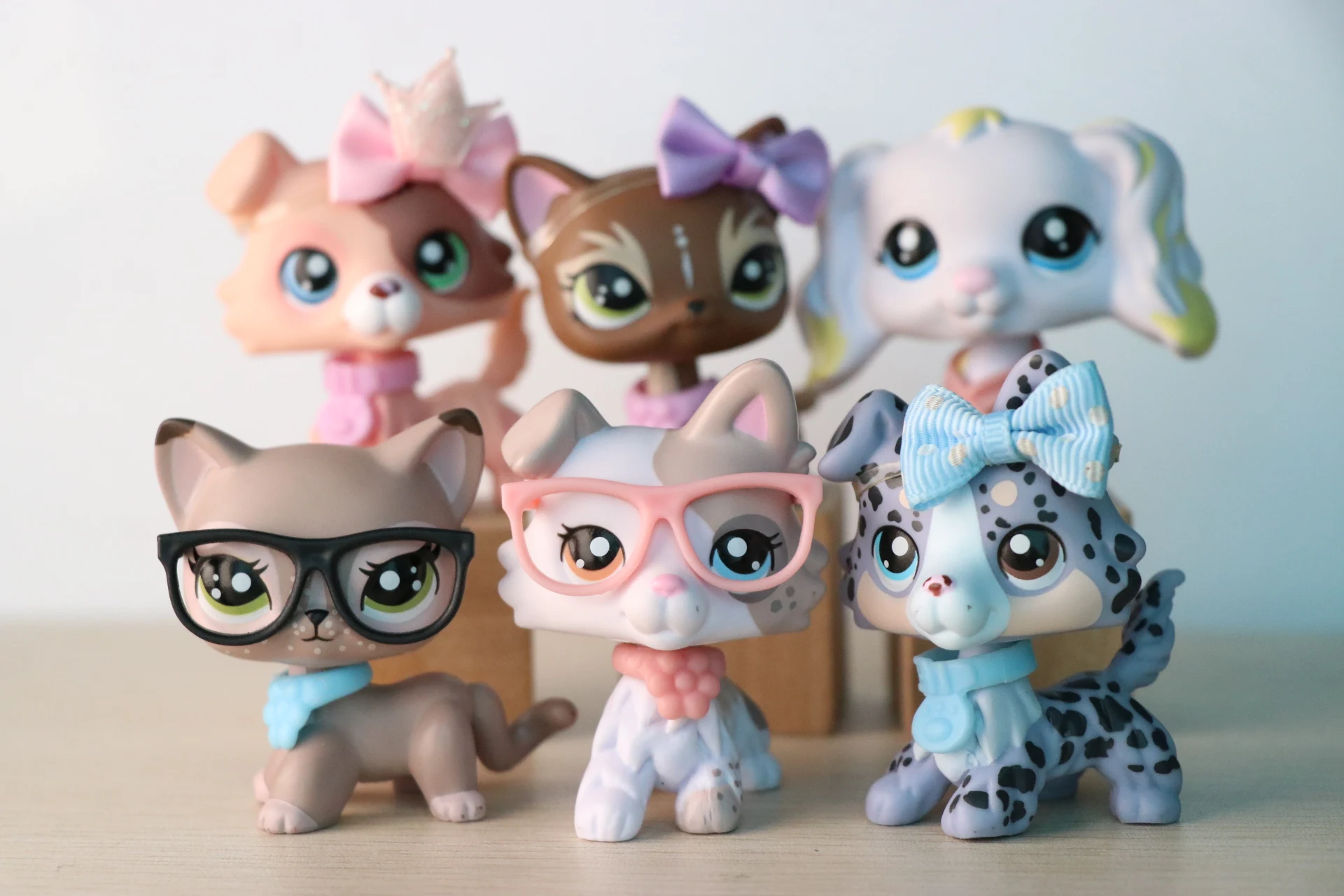 6 шт. игрушки на заказ щенок колли кошка с короткой шерстью банан спаниель собака