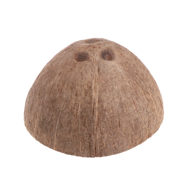 2020 новые рептилии спрятать среду обитания натуральный кокосовый скорлупа