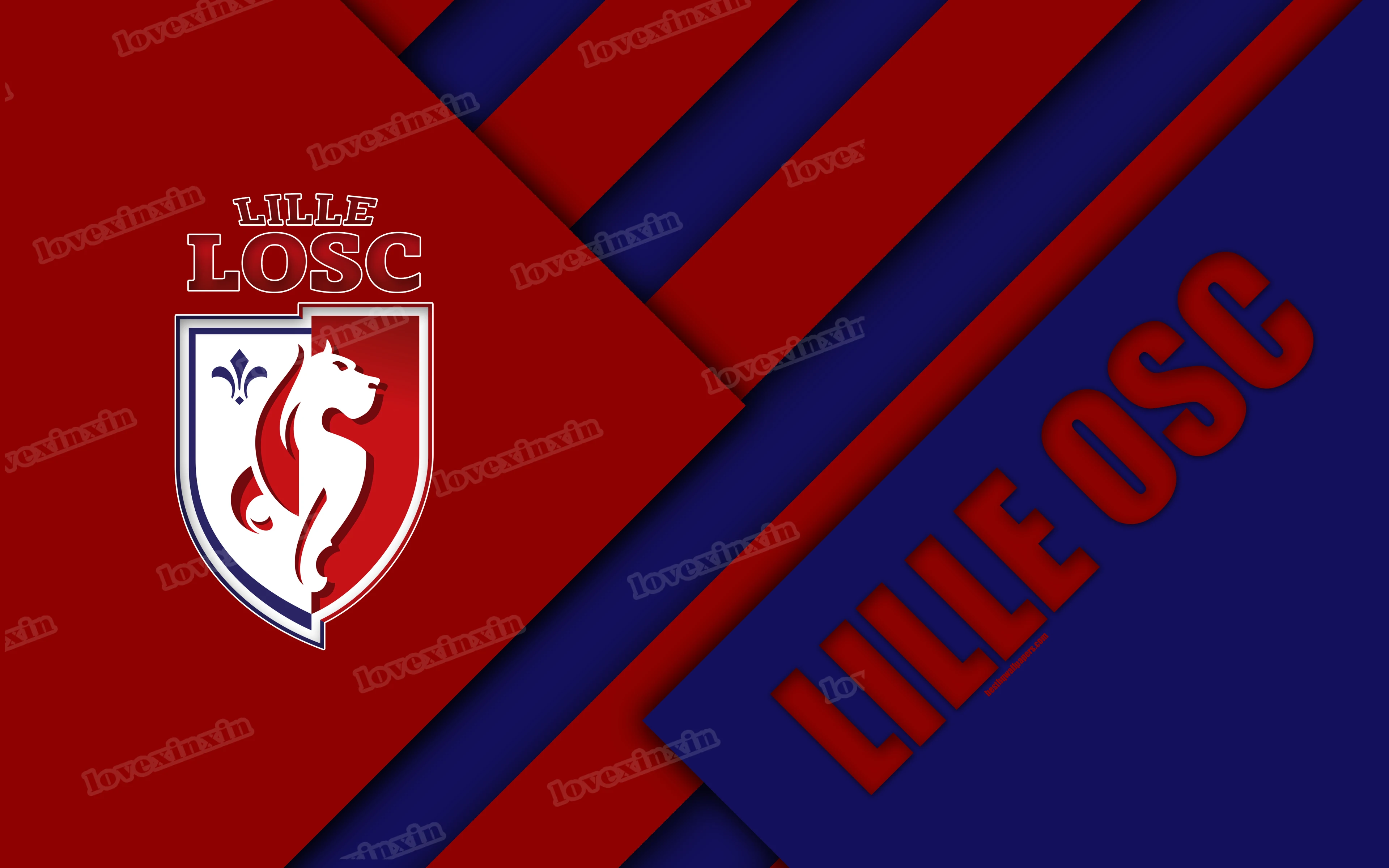 Настенная Картина на холсте с изображением футбольной команды Лилля без рамки |