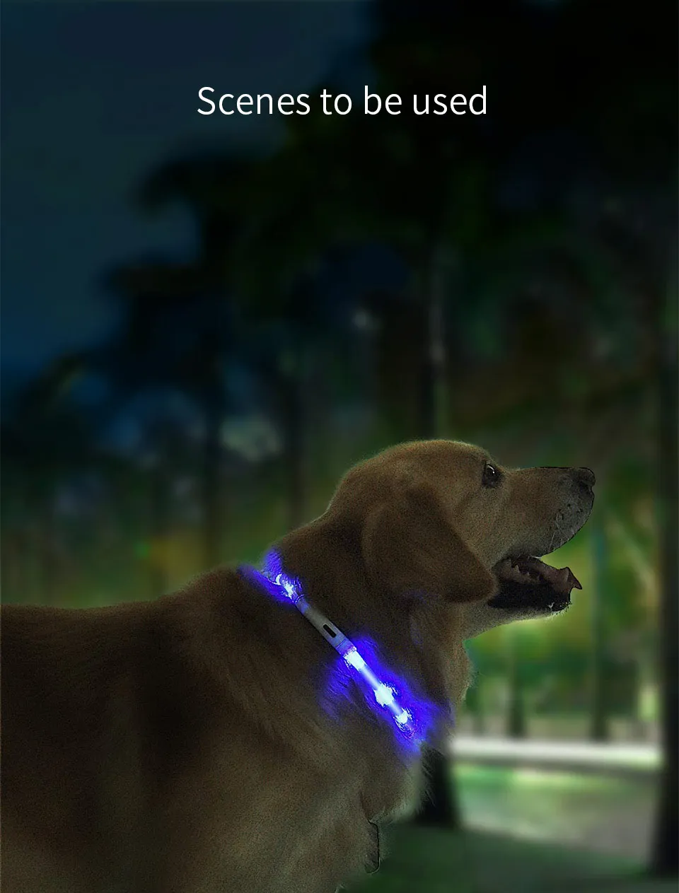 Xiaomi Mijia Pet Блестящий Воротник для прогулок в ночное время шоппинг анти-питомец потерянный Предупреждение предупреждающий свет мягкий силикон может отрезать usb зарядку
