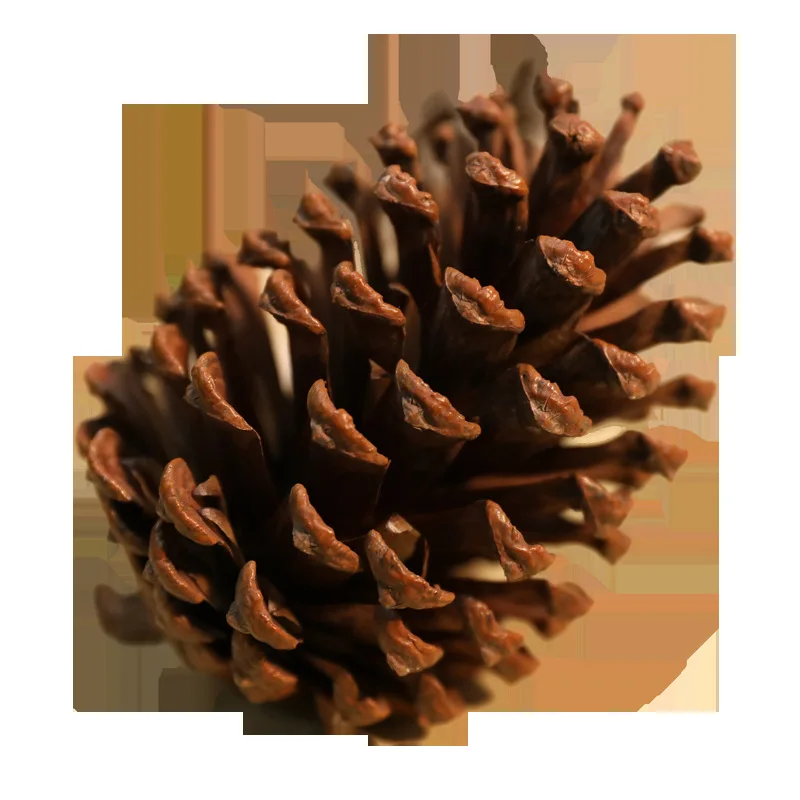 2 шт./упак. Рождественская елка украшения изготовленные из натурального кедровые