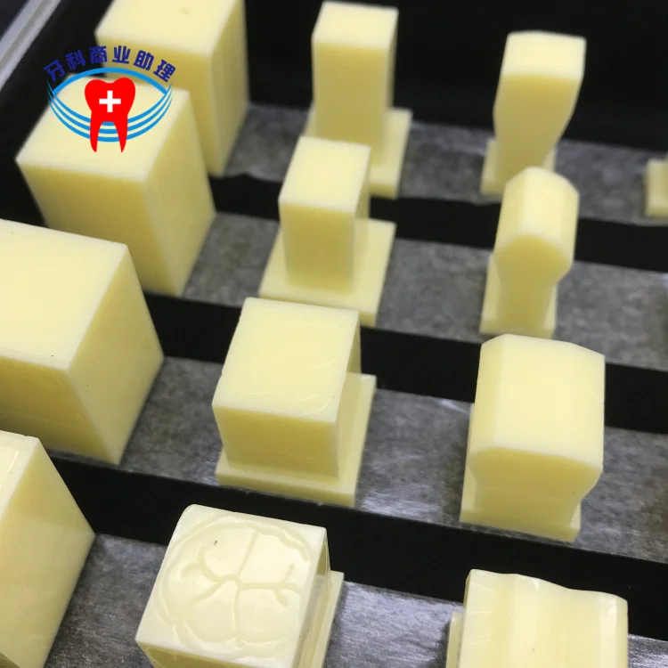 Уход за полостью рта Студенческая Модель прорезывания зубов 2 5x модель для